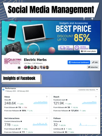 Digital Marketing Project Image